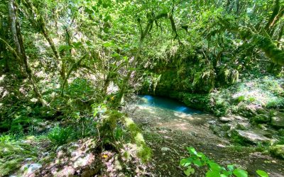 Noirefontaine printemps