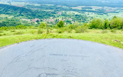 Roissiat (Courmangoux) printemps