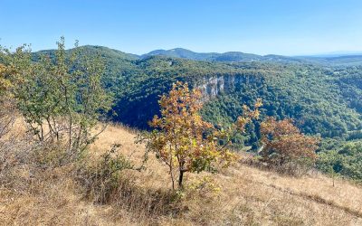 Boyeux-Saint-Jérôme été