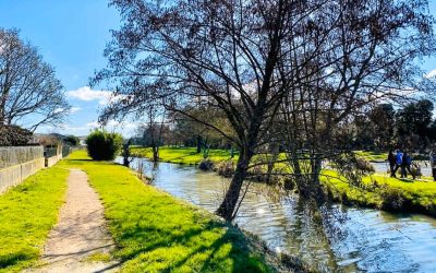 Dompierre-sur-Veyle hiver